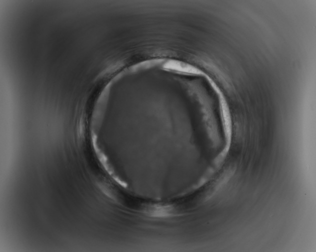 X0000087320165200705112144