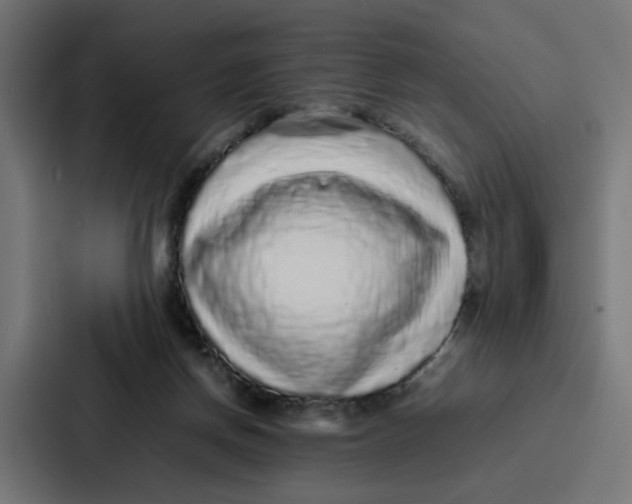 X0000087320166200705112144