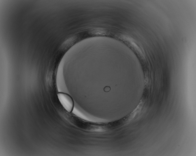 X0000087320167200705112144