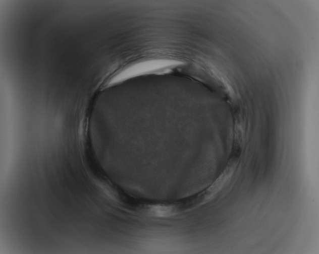 X0000087320168200705112144