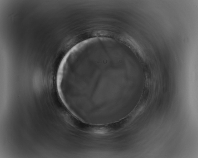 X0000087320169200705112144