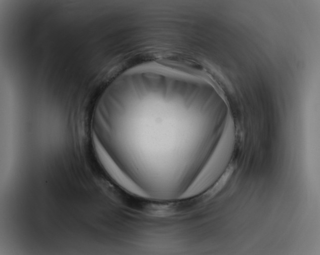 X0000087320170200705112144