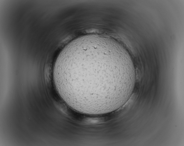 X0000087320171200705112144