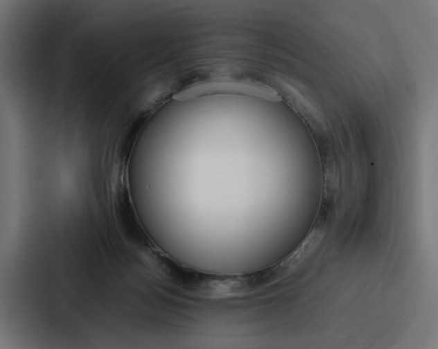 X0000087320172200705112144