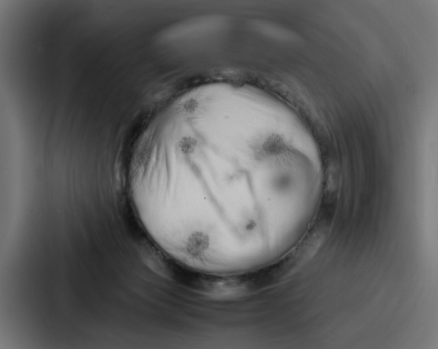 X0000087320173200705112144