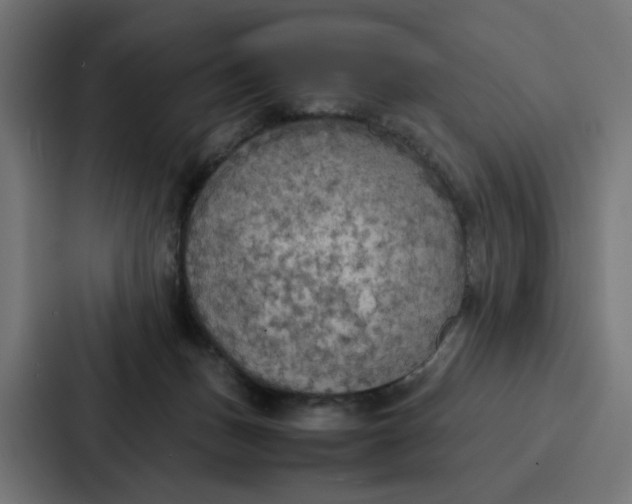 X0000087320175200705112144