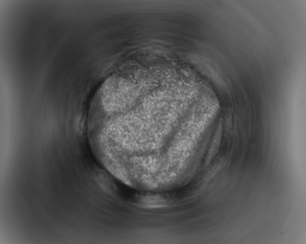 X0000087320177200705112144