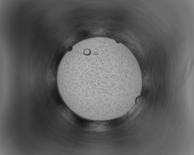 X0000087320179200705112144