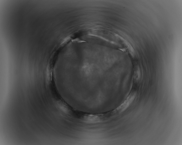 X0000087320180200705112144