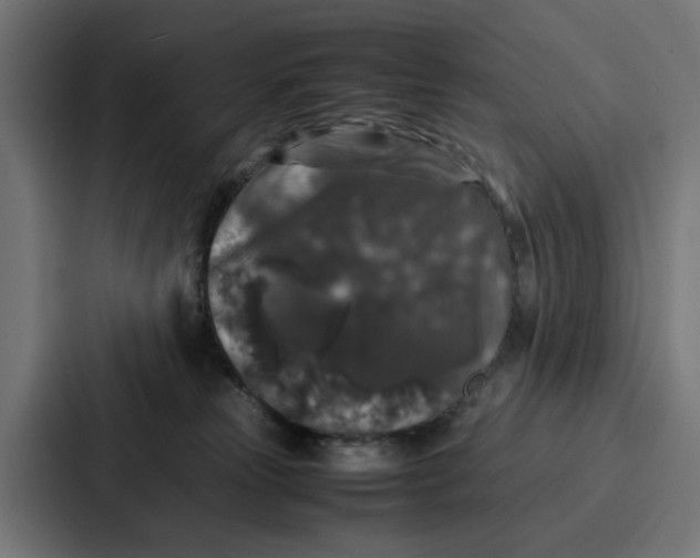 X0000087320181200705112144