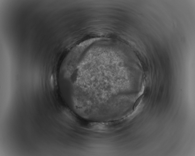 X0000087320182200705112144