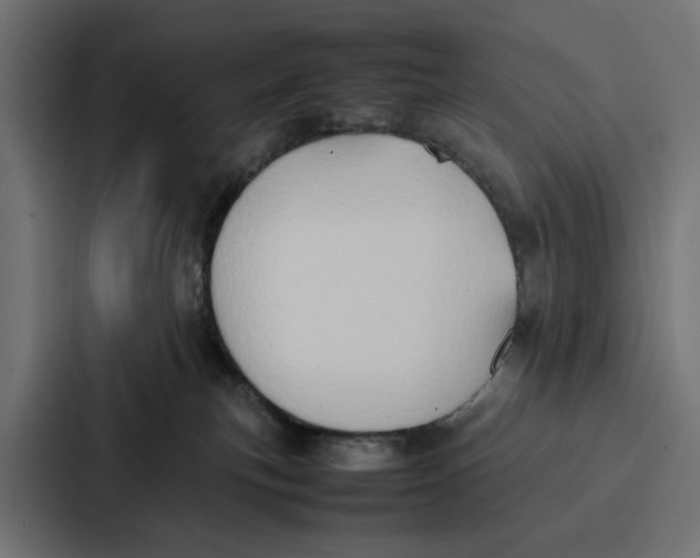 X0000087320183200705112144