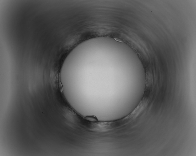 X0000087320184200705112144