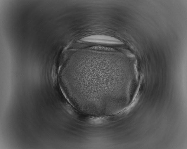 X0000087320186200705112144