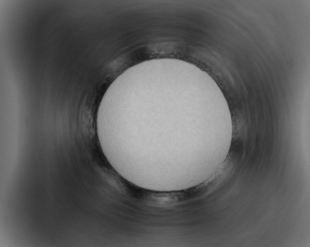 X0000087320187200705112144