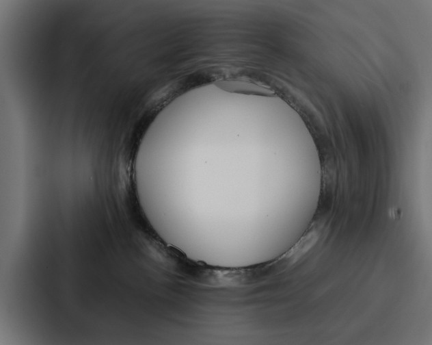 X0000087320188200705112144