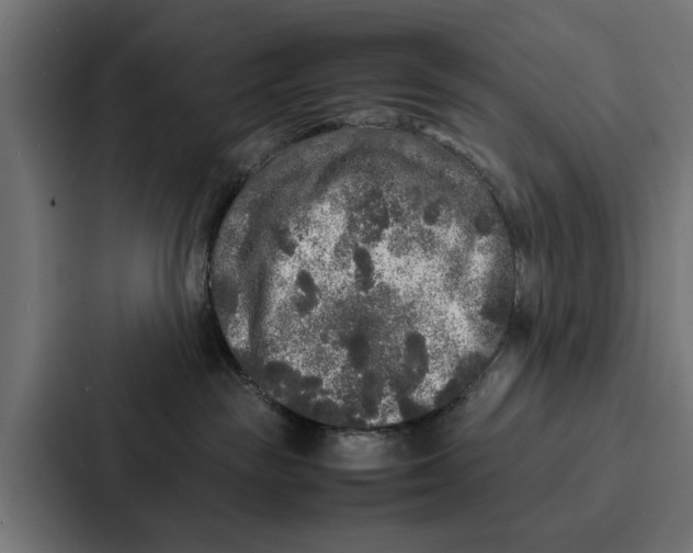 X0000087320189200705112144