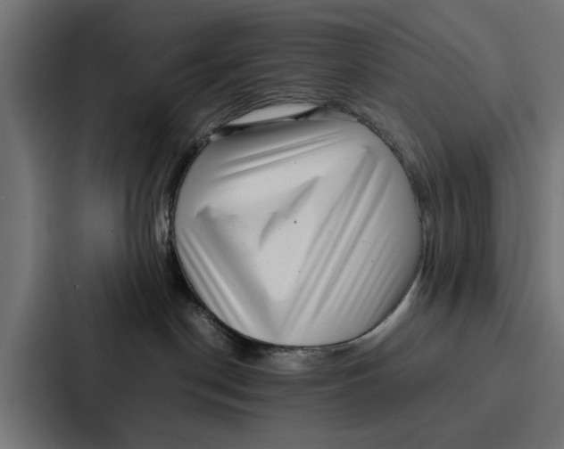 X0000087320190200705112144