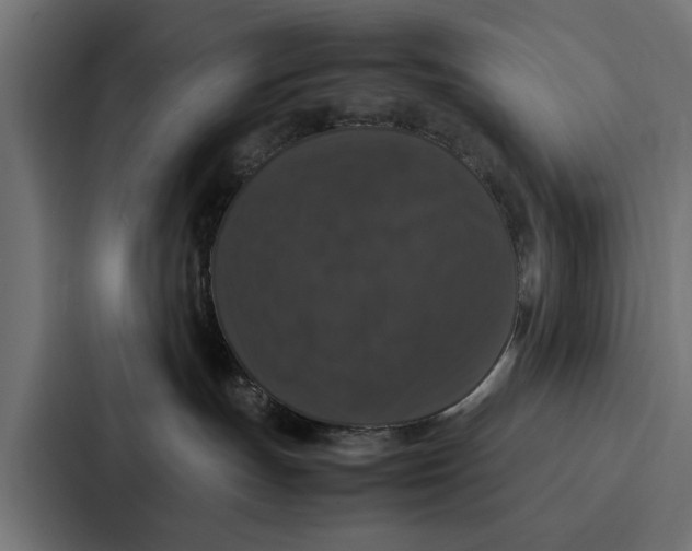 X0000087320191200705112144