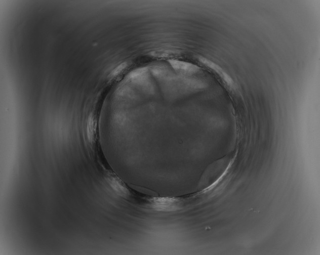 X0000087320192200705112144