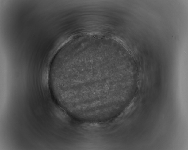 X0000087320194200705112144