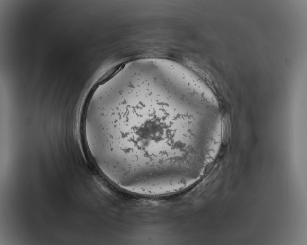 X0000087320195200705112144