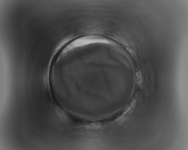 X0000087320196200705112144