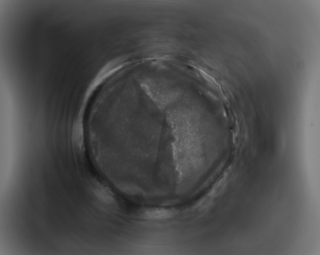 X0000087320198200705112144