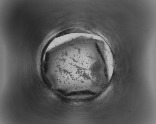 X0000087320199200705112143