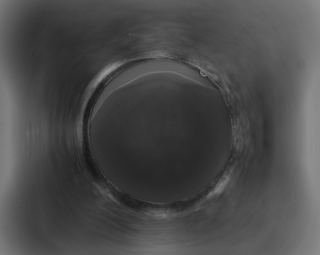 X0000087320200200705112143