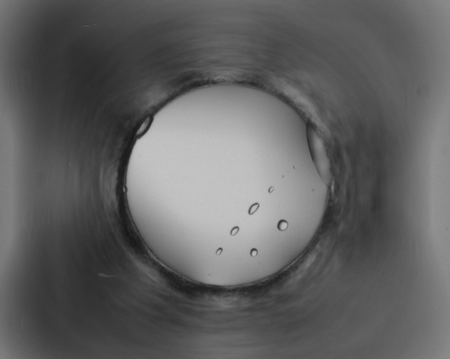 X0000087320201200705112143