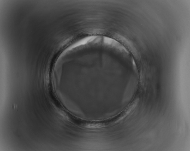 X0000087320202200705112143