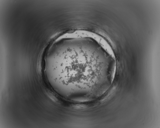 X0000087320203200705112143