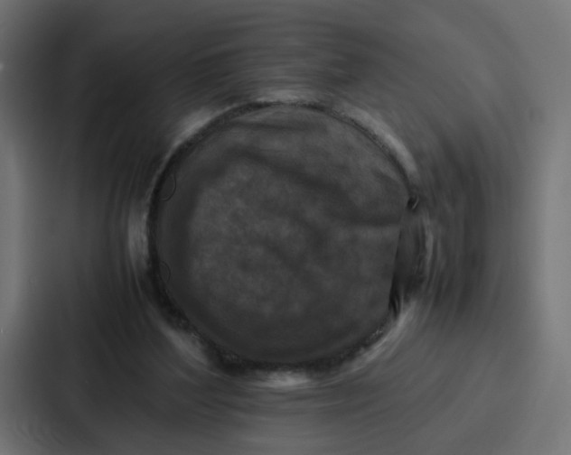 X0000087320204200705112143