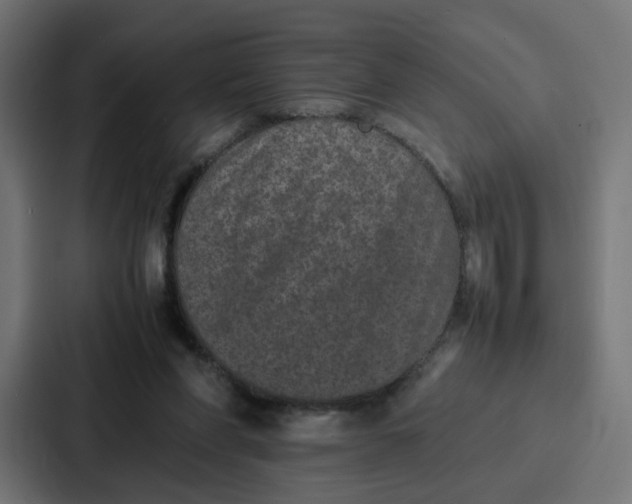 X0000087320206200705112143