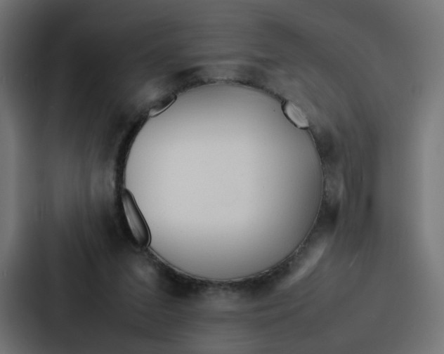 X0000087320207200705112143