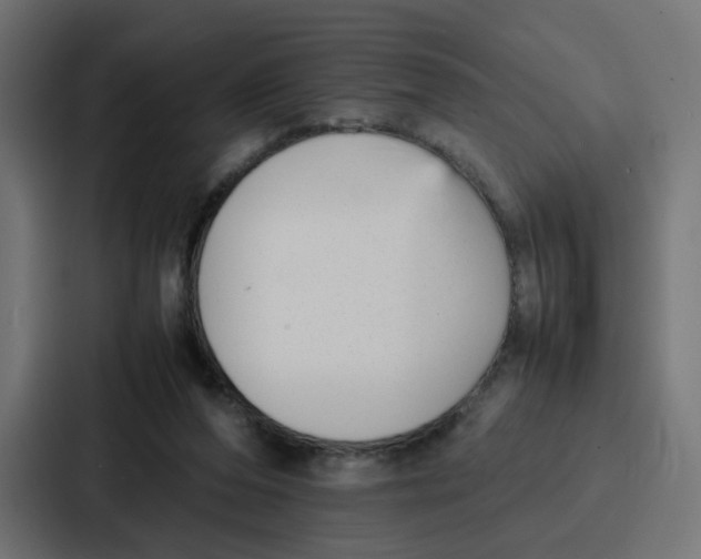 X0000087320208200705112143