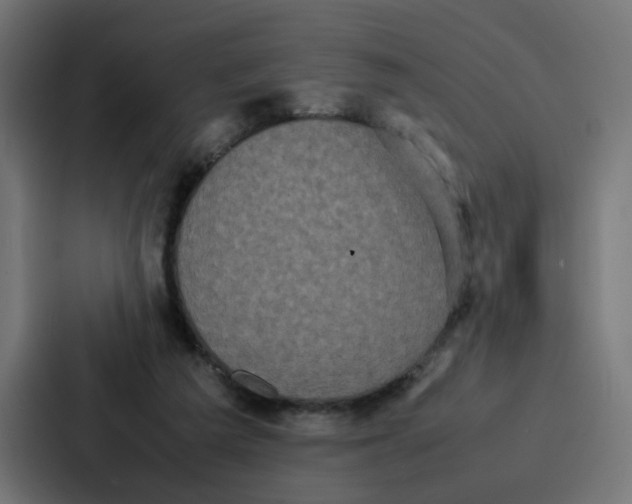 X0000087320209200705112143