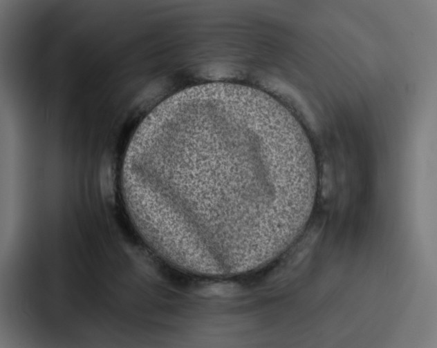 X0000087320210200705112143