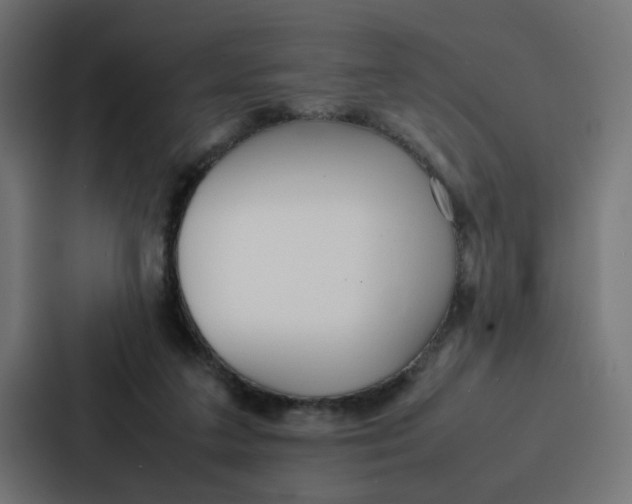 X0000087320211200705112143