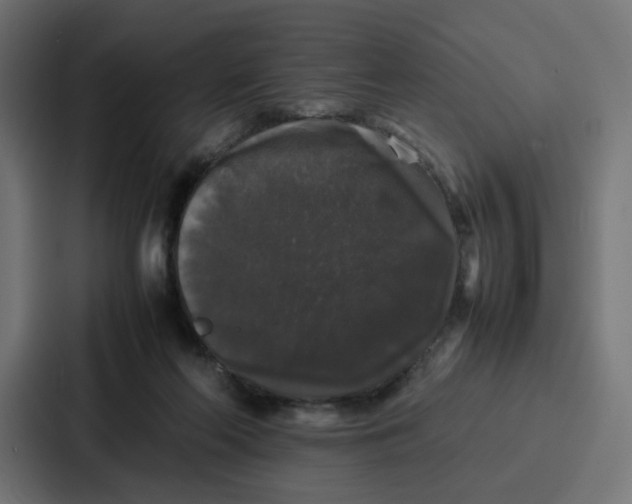 X0000087320214200705112143