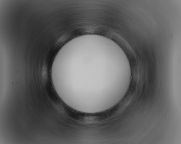 X0000087320216200705112143