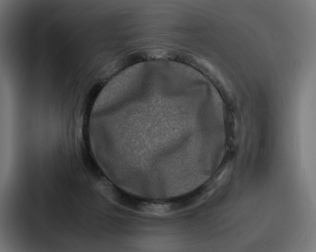 X0000087320217200705112143