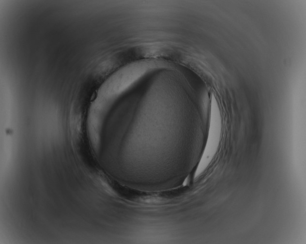 X0000087320219200705112143