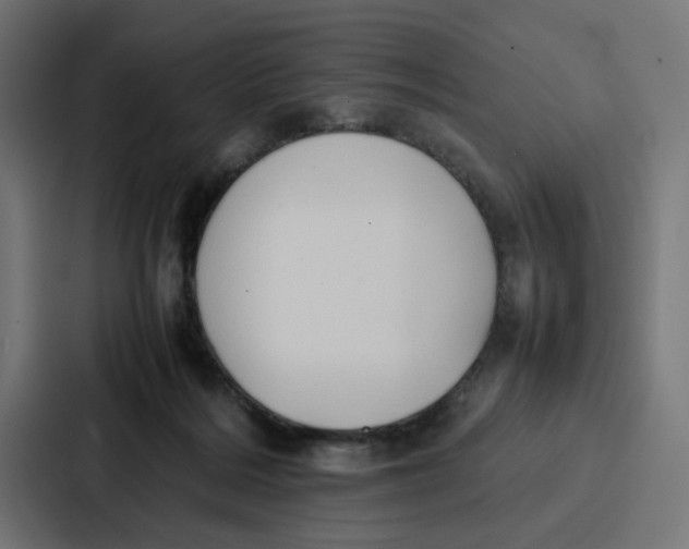 X0000087320220200705112143