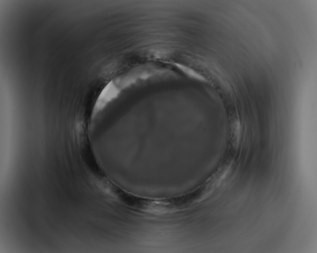 X0000087320222200705112143