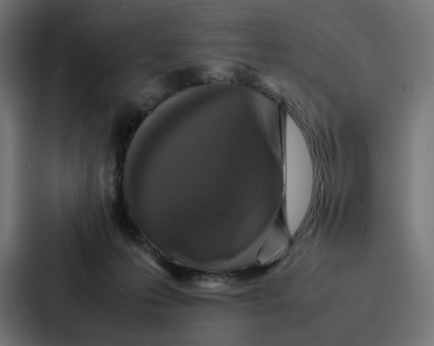 X0000087320223200705112143