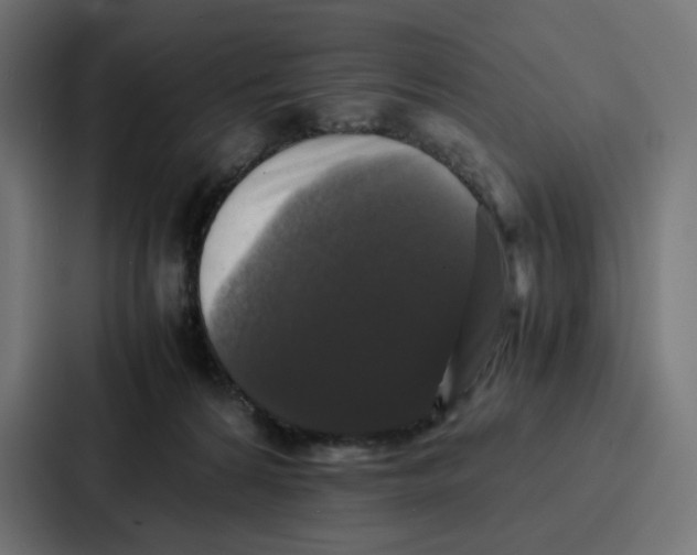 X0000087320224200705112143