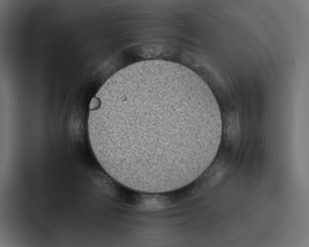 X0000087320226200705112143