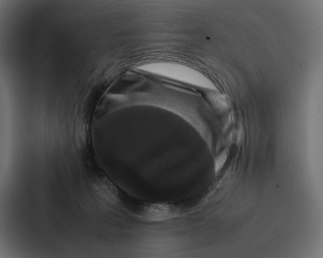 X0000087320227200705112143